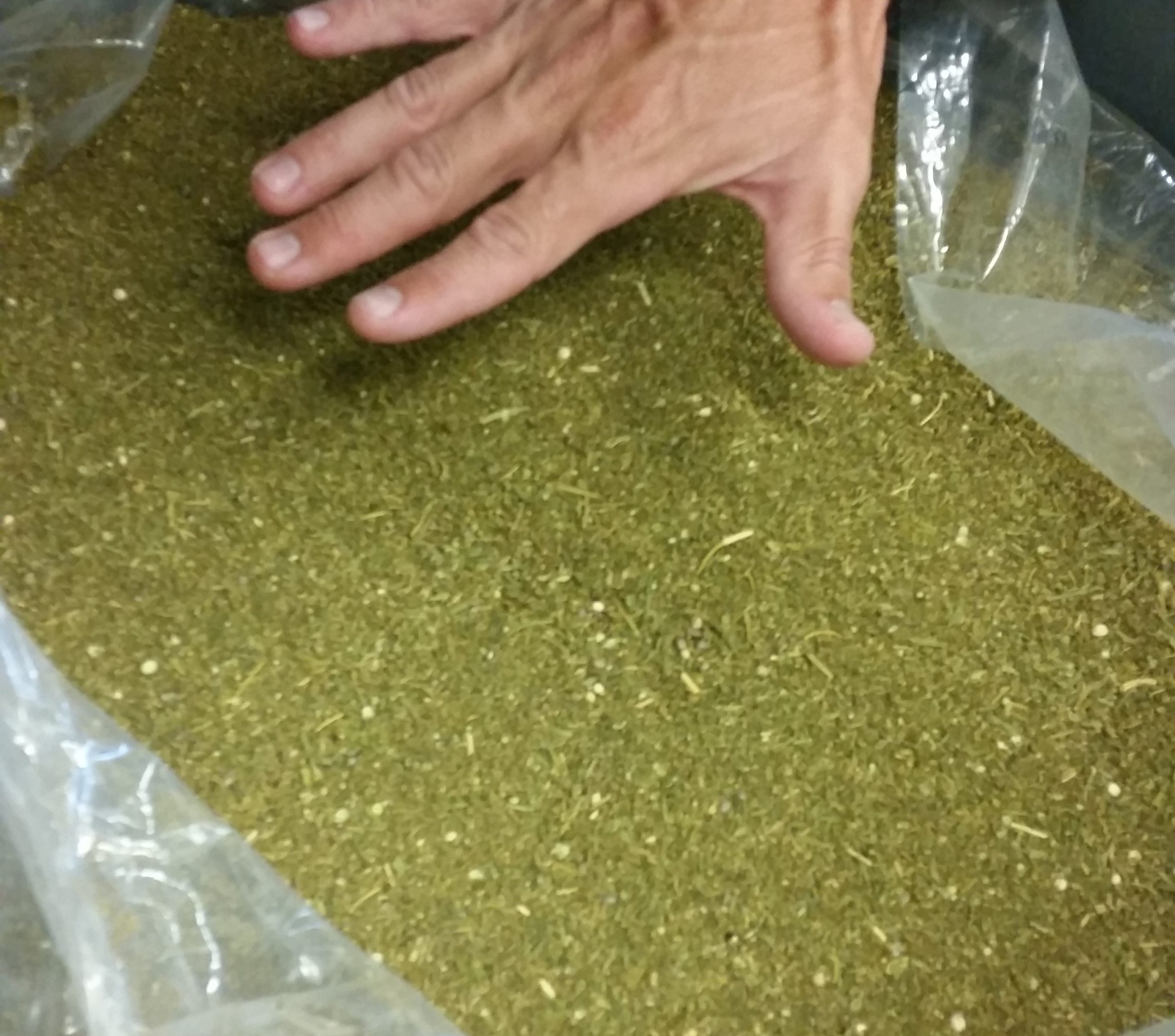 cannabis grinding